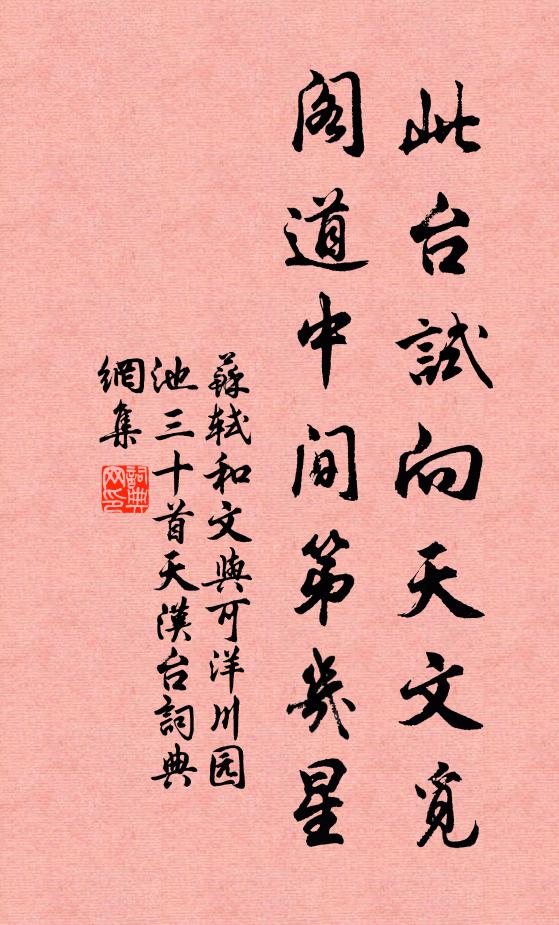 苏轼此台试向天文觅，阁道中间第几星书法作品欣赏