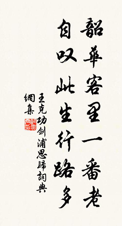 王克功韶华客里一番老，自叹此生行路多书法作品欣赏