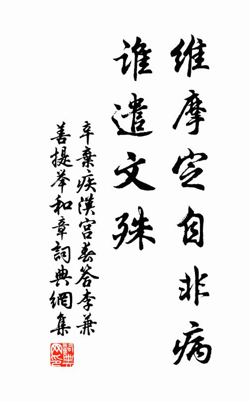辛弃疾维摩定自非病，谁遣文殊书法作品欣赏