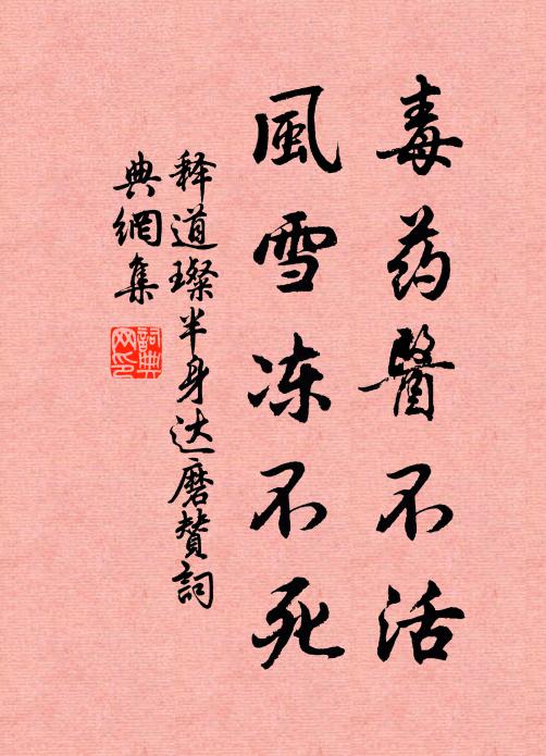 释道璨毒药医不活，风雪冻不死书法作品欣赏