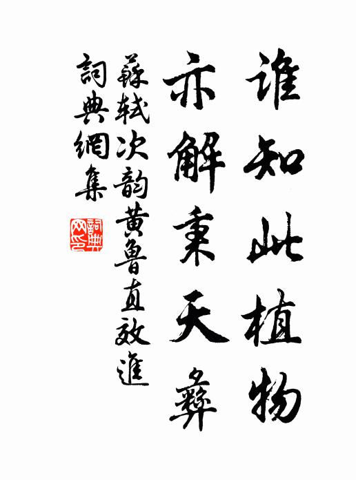 苏轼谁知此植物，亦解秉天彝书法作品欣赏
