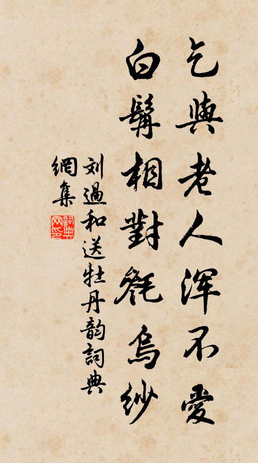 刘过乞与老人浑不爱，白髯相对毵乌纱书法作品欣赏