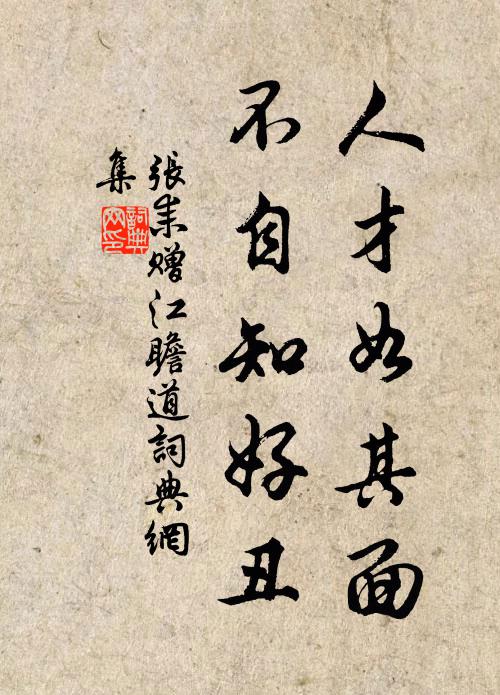 张耒人才如其面，不自知好丑书法作品欣赏