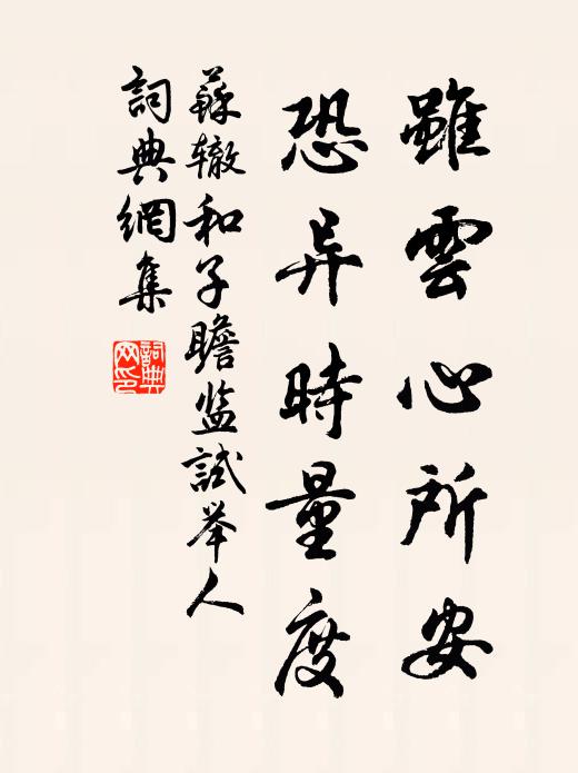 苏辙虽云心所安，恐异时量度书法作品欣赏