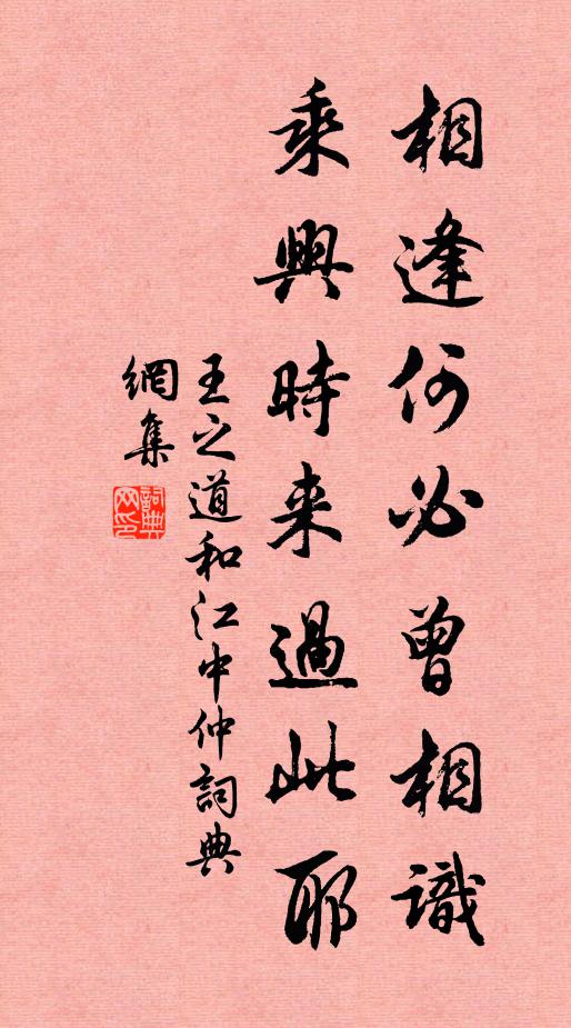 王之道相逢何必曾相识，乘兴时来过此耶书法作品欣赏