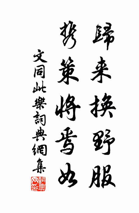 文同归来换野服，携策将焉如书法作品欣赏
