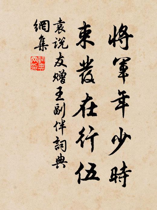 袁说友将军年少时，束发在行伍书法作品欣赏