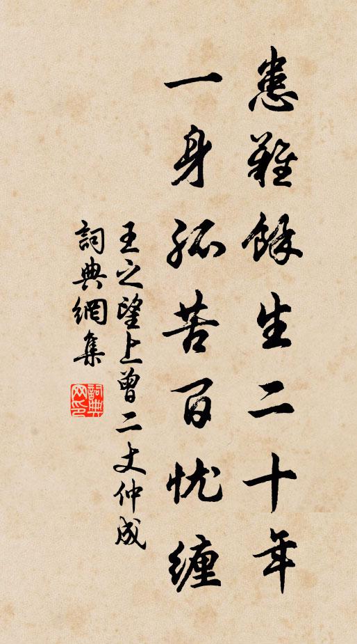 王之望患难余生二十年，一身孤苦百忧缠书法作品欣赏