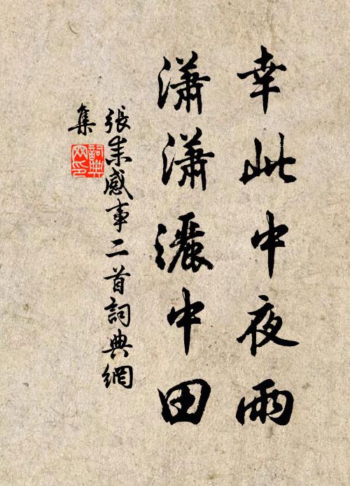 张耒幸此中夜雨，潇潇洒中田书法作品欣赏