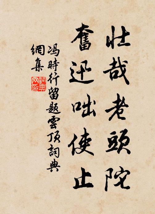 冯时行壮哉老头陀，奋迅咄使止书法作品欣赏