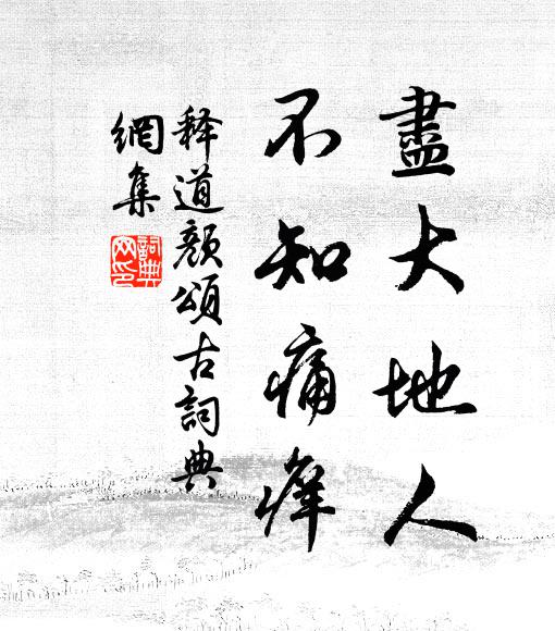 释道颜尽大地人，不知痛痒书法作品欣赏