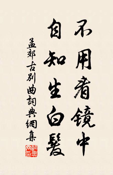 孟郊不用看镜中，自知生白发书法作品欣赏