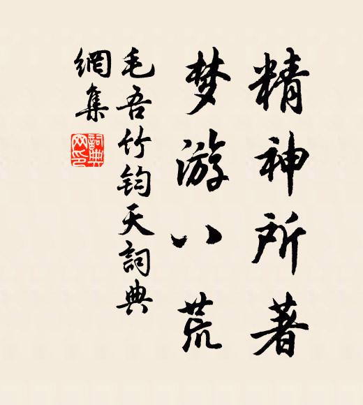 毛吾竹精神所著,梦游八荒书法作品欣赏