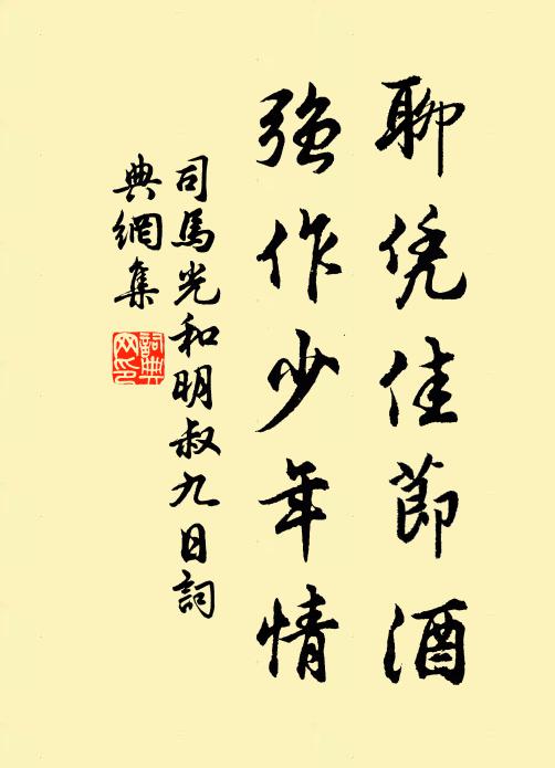 司马光聊凭佳节酒，强作少年情书法作品欣赏