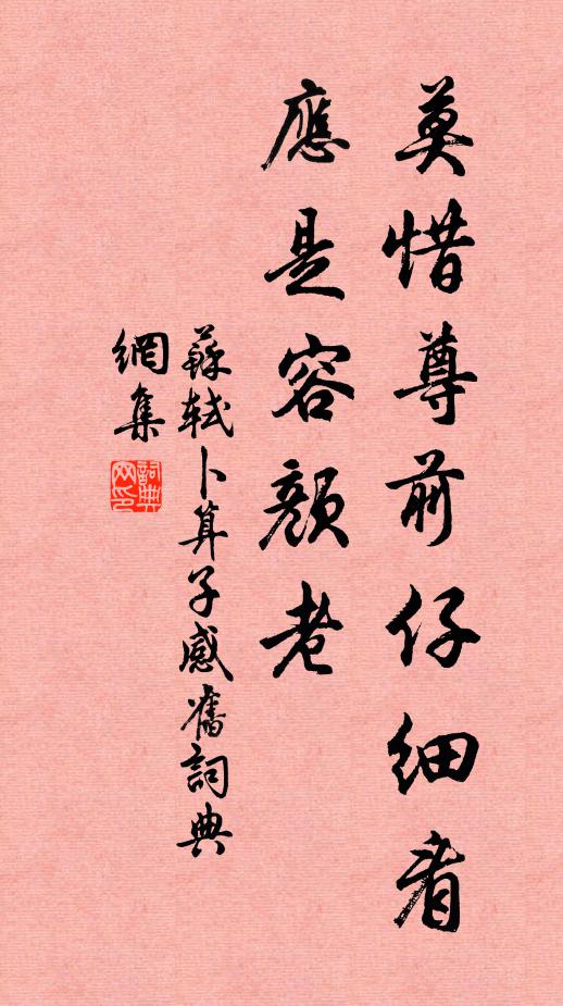 苏轼莫惜尊前仔细看，应是容颜老书法作品欣赏