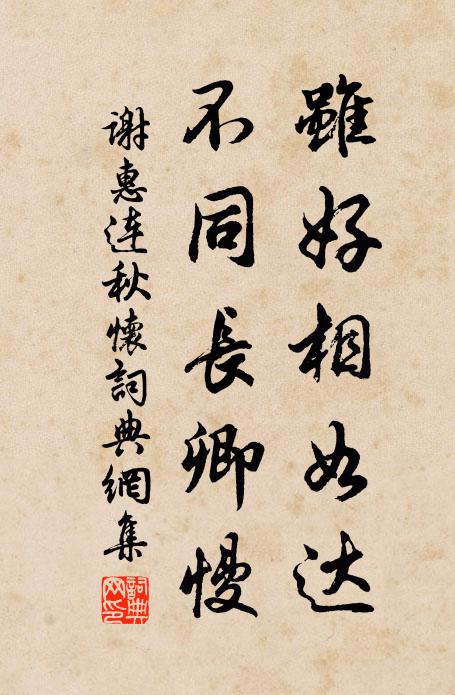 谢惠连虽好相如达，不同长卿慢书法作品欣赏