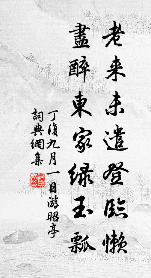 丁复老来未遣登临懒，尽醉东家绿玉瓢书法作品欣赏