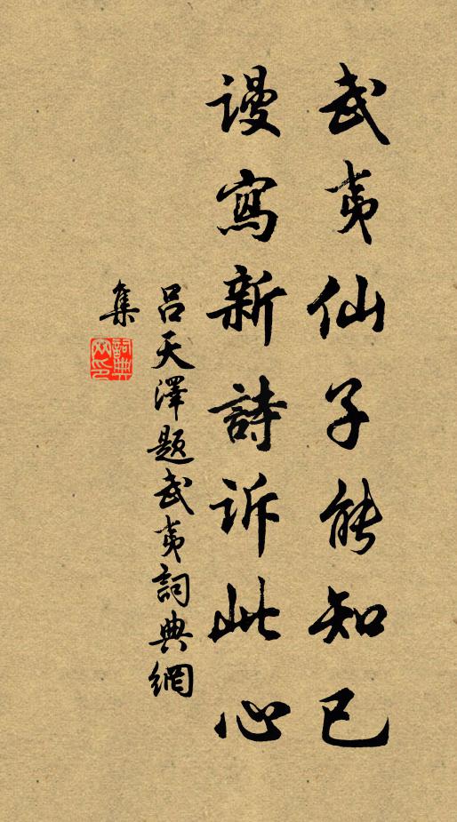 吕天泽武夷仙子能知已，谩写新诗诉此心书法作品欣赏