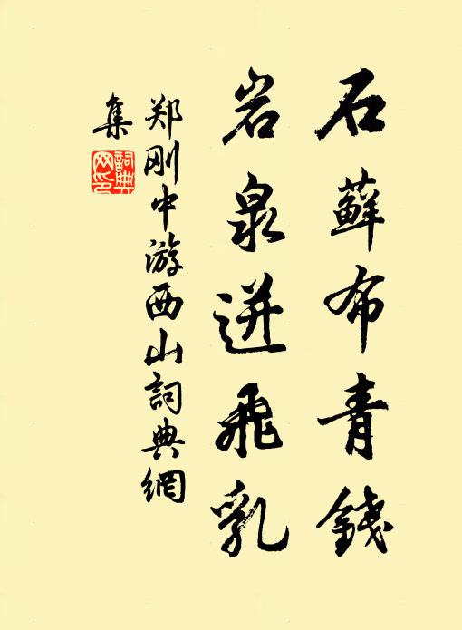 郑刚中石藓布青钱，岩泉迸飞乳书法作品欣赏