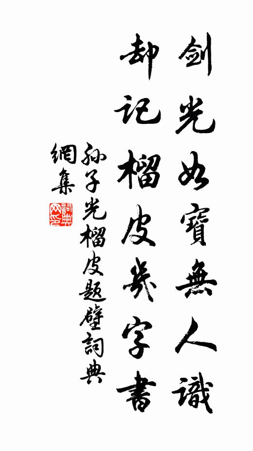 孙子光剑光如宝无人识，却记榴皮几字书书法作品欣赏