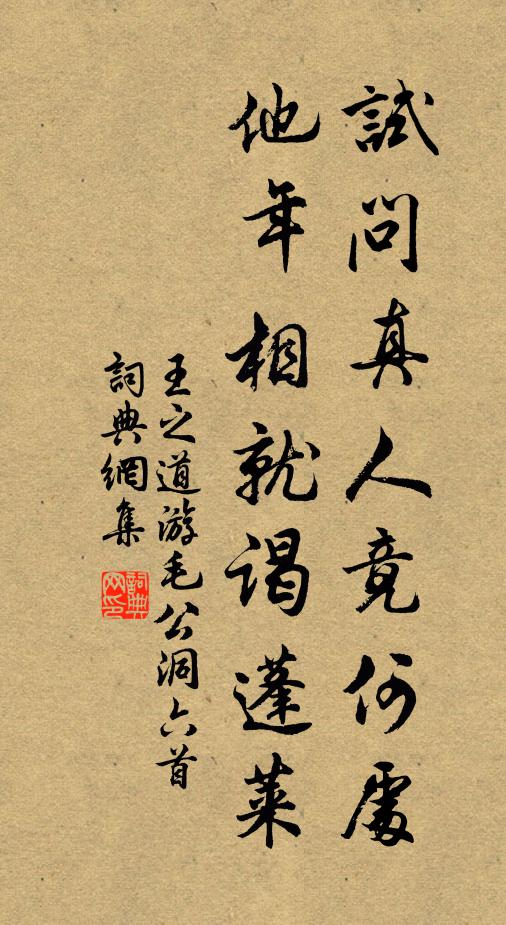 王之道试问真人竟何处，他年相就谒蓬莱书法作品欣赏