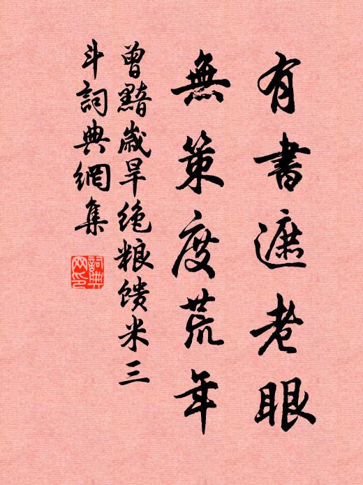 曾黯有书遮老眼，无策度荒年书法作品欣赏