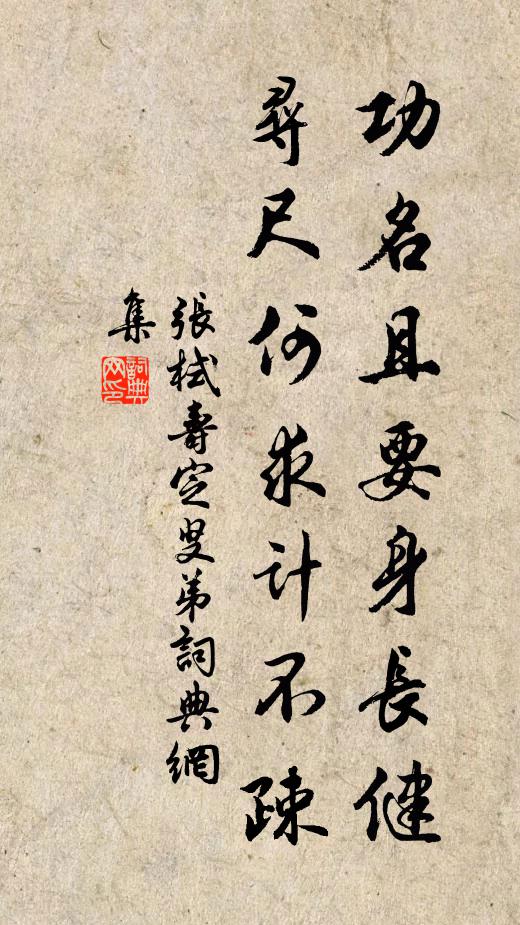 张栻功名且要身长健，寻尺何求计不疎书法作品欣赏