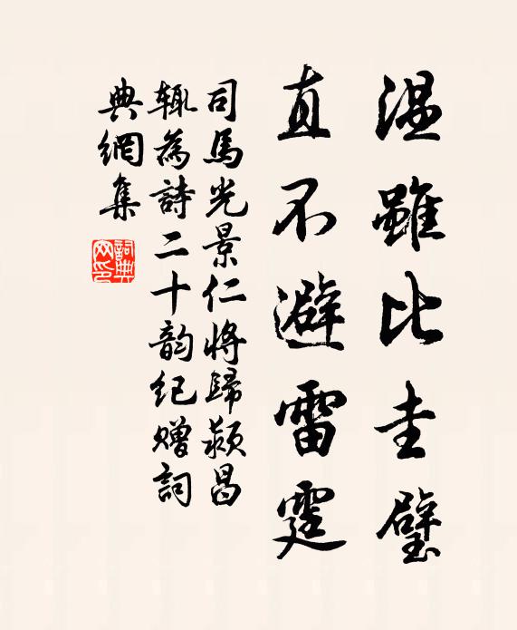 司马光温虽比圭璧，直不避雷霆书法作品欣赏