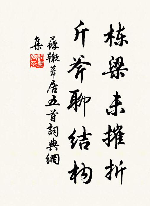 苏辙栋梁未摧折，斤斧聊结构书法作品欣赏