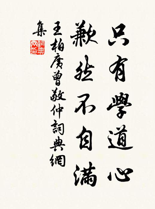 王柏只有学道心，歉然不自满书法作品欣赏