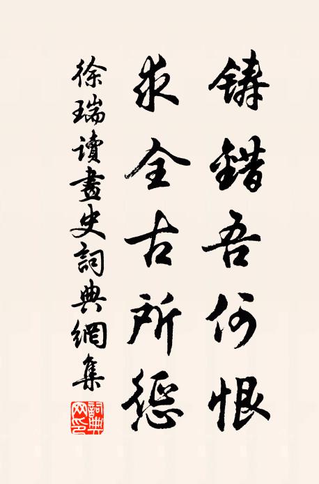 徐瑞铸错吾何恨，求全古所惩书法作品欣赏