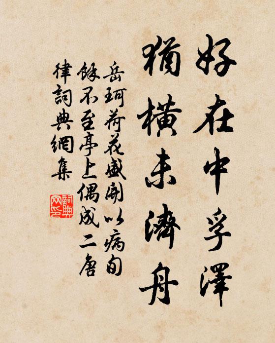 岳珂好在中孚泽，犹横未济舟书法作品欣赏