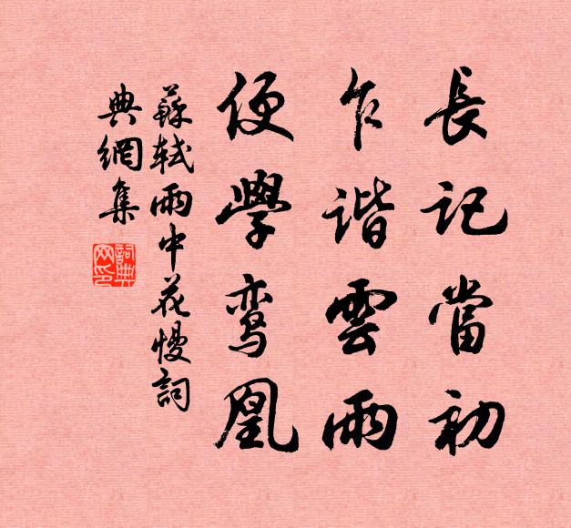 苏轼长记当初，乍谐云雨，便学鸾凰书法作品欣赏