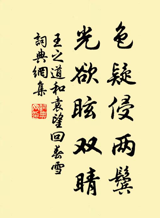 王之道色疑侵两鬓，光欲眩双睛书法作品欣赏