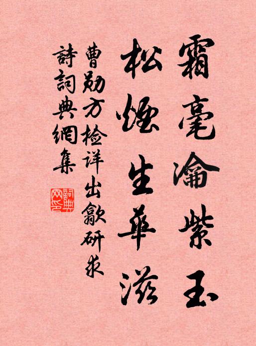 曹勋霜毫瀹紫玉，松烟生华滋书法作品欣赏