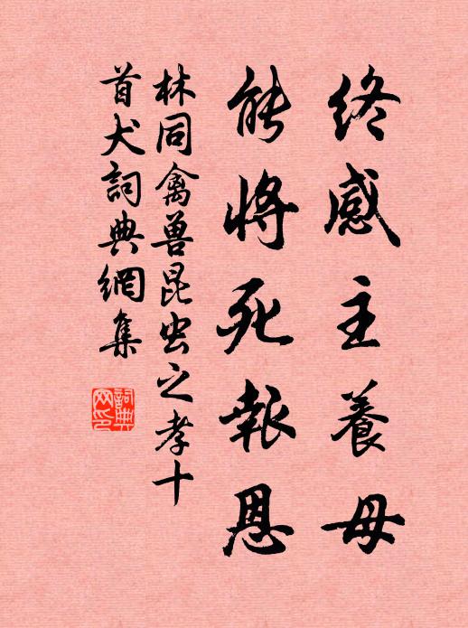 林同终感主养母，能将死报恩书法作品欣赏