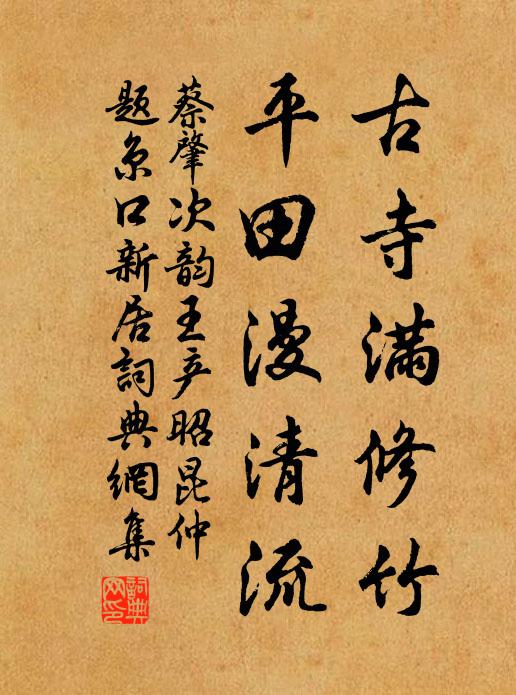 蔡肇古寺满修竹，平田漫清流书法作品欣赏