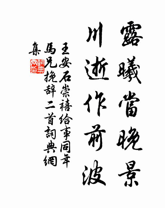王安石露曦当晚景，川逝作前波书法作品欣赏