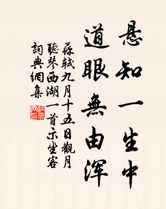 苏轼悬知一生中，道眼无由浑书法作品欣赏