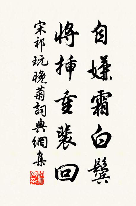 宋祁自嫌霜白鬓，将插重裴回书法作品欣赏