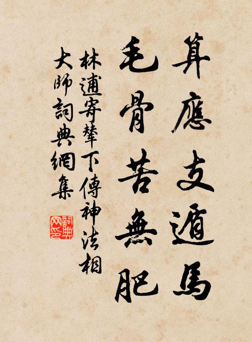 林逋算应支遁马，毛骨苦无肥书法作品欣赏