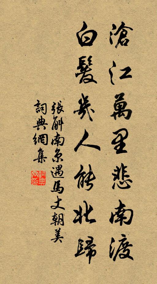 张斛沧江万里悲南渡，白发几人能北归书法作品欣赏