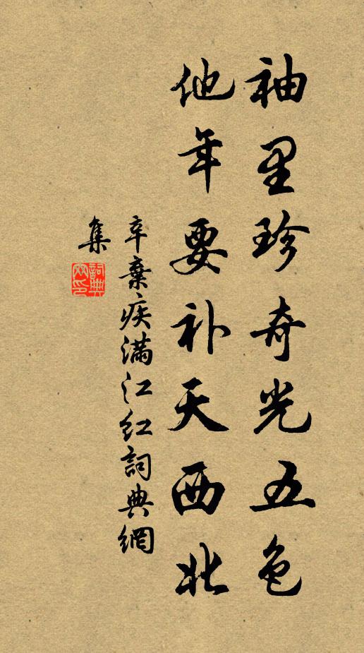 辛弃疾袖里珍奇光五色，他年要补天西北书法作品欣赏