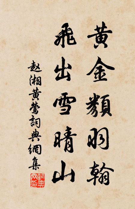 赵湘黄金类羽翰，飞出雪晴山书法作品欣赏