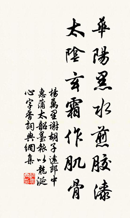 杨万里华阳黑水煎胶漆，太阴玄霜作肌骨书法作品欣赏