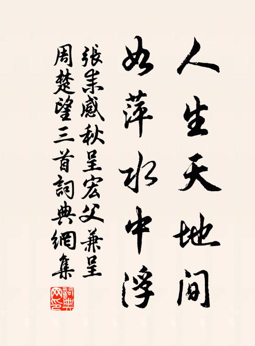 张耒人生天地间，如萍水中浮书法作品欣赏