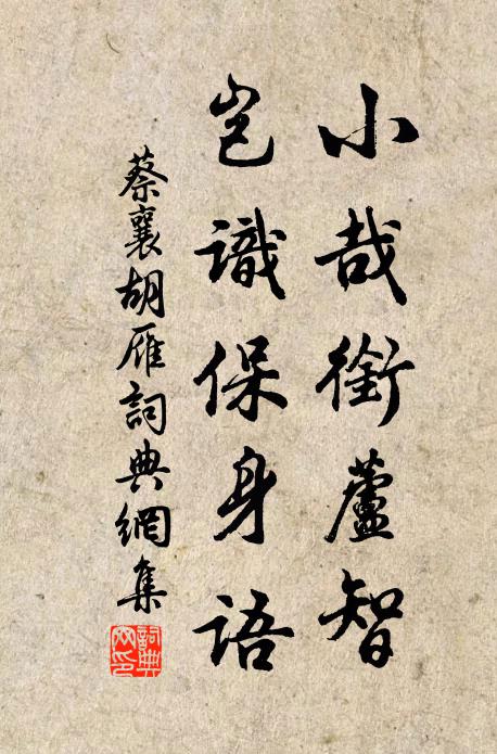 蔡襄小哉衔芦智，岂识保身语书法作品欣赏