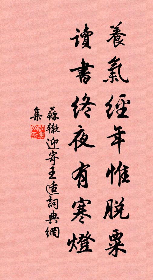 苏辙养气经年惟脱粟，读书终夜有寒灯书法作品欣赏