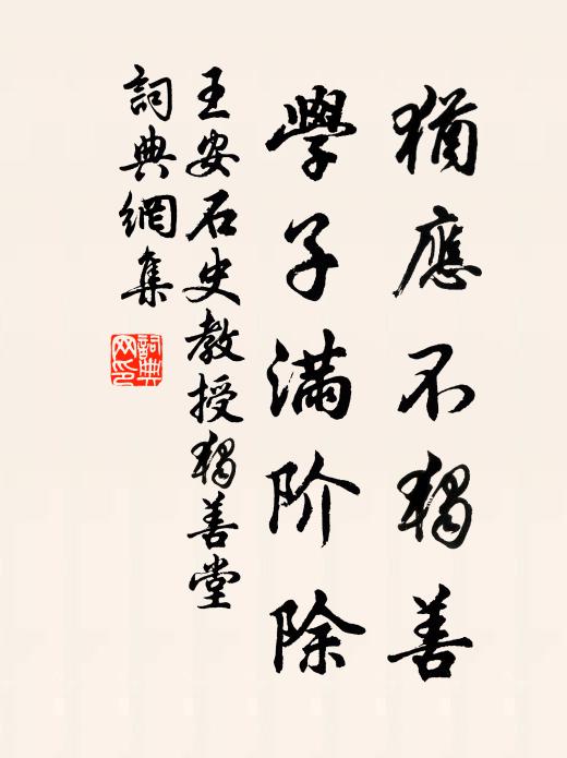王安石犹应不独善，学子满阶除书法作品欣赏