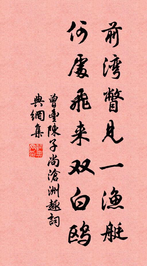 曾丰前湾瞥见一渔艇，何处飞来双白鸥书法作品欣赏